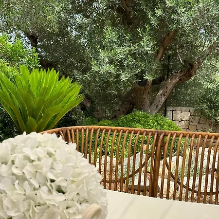 Trulli Valeria *