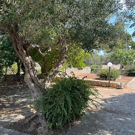 Apartment Trulli Valeria Gorgofreddo